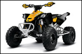 2014 Can-Am DS 450 X XC