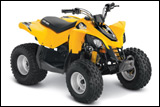 2013 DS 90 Youth ATV
