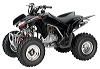Black Honda TRX250EX Youth Sport ATV
