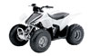 White Honda TRX90EX Mini ATV