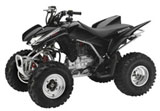2012 Honda TRX250X ATV