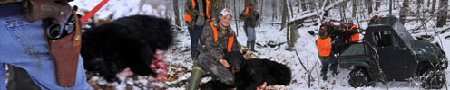 Black Bear Hunting in West Virginia with a Yamaha Rhno SxS
