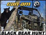 Black Bear Hunting with a Can-Am Commander 1000 XT SxS / UTV