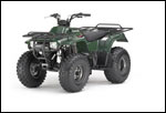 Kawasaki Bayou 250 Woodsman Green ATV