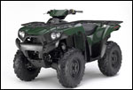 Woodsman Green Kawasaki Brute Force 650 4x4i ATV