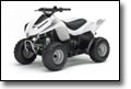 white Kawasaki KFX50 Mini ATV