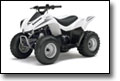 Kawasaki KFX90 ATV (White)