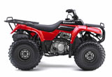 Kawasaki Bayou 250 Aztec Red ATV