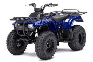 Bayou 250 Utility ATV
