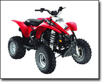 Trail Blazer 330 ATV