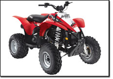 Trail Blazer 330 ATV
