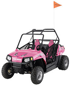 Pink 2010 Polaris Ranger RZR UTV