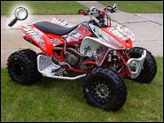  Red TRX450R ATV