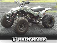 LRD Frame 250R ATV