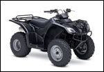 Black Ozark 250 4x2  ATV