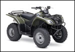 Green Ozark 250 4x2  ATV