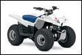 2009 Suzuki QuadSport Z250 ATV