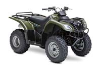 Green Ozark 250 2x4 ATV