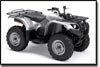 Yamaha Grizzly 450 Auto 4x4 IRS Special Edition ATV 