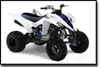 Yamaha Raptor 350 Special Edition ATV 