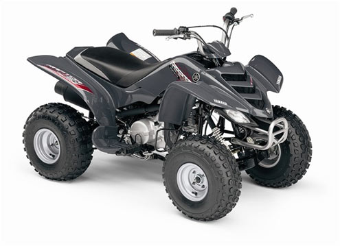 Raptor 80 Mini ATV 