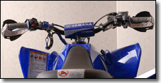 2008 Yamaha Raptor 250