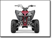 The Raptor 250 features the "evil eye" headlights found on the YFZ450.