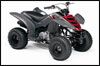 2008 Yamaha Raptor 80 ATV 