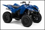 Blue 2008 Yamaha Wolverine 350 Sport ATV