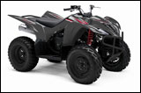 Red/Gray 2008 Yamaha Wolverine 350 Sport ATV