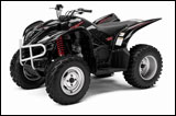 Wolverine 450 Special Edition ATV