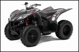 Red/Gray 2008 Yamaha Wolverine 450 Sport ATV