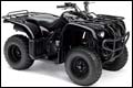 Big Bear 250 Utility ATV