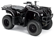 2009 Yamaha Big Bear 250 Utility ATV 