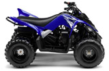 2009 Yamaha Raptor 90 ATV