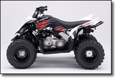 black/white flames Raptor 90 ATV