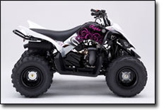 Pink Girly Raptor 90 ATV