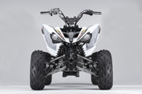 2010 Flame Yamaha Raptor 250 Sport ATV 