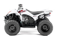 Wolverine 450 Utility Sport ATV