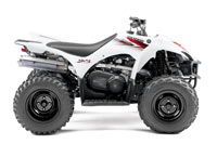 2010 Wolverine 450 ATV
