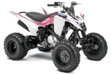2011 Yamaha Raptor 125 Youth Sport ATV