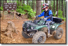 2011 Yamaha Grizzly 450 4x4 EPS Utility ATV