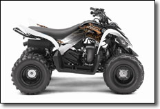 2012 Yamaha Raptor 90 Gauntlet Graphics